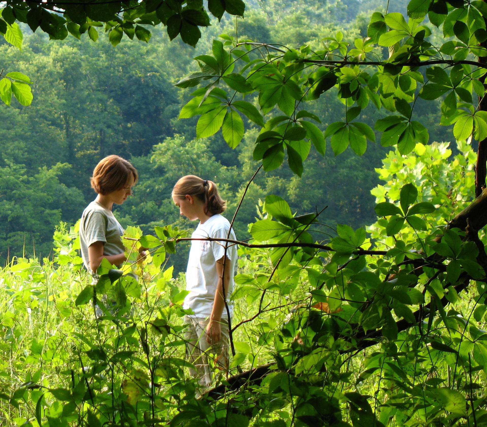 Read more about the article Coping with Trauma in Children