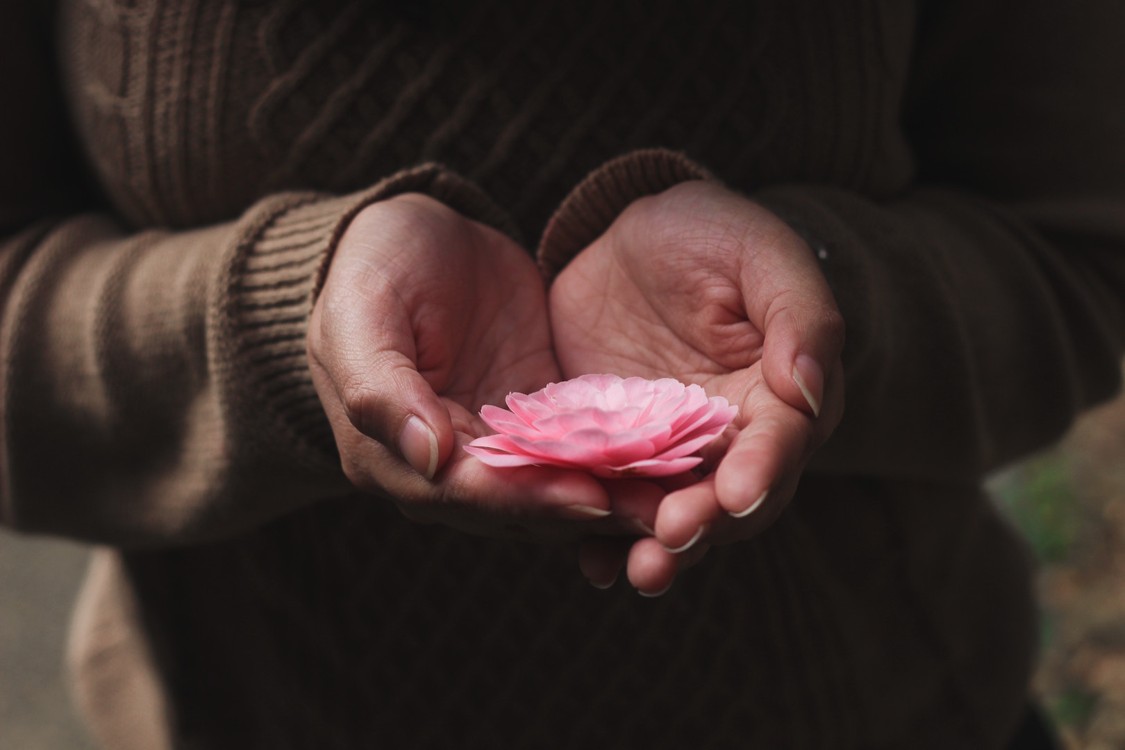 Read more about the article Self-Compassion