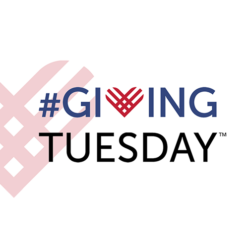 Read more about the article Giving Tuesday Results