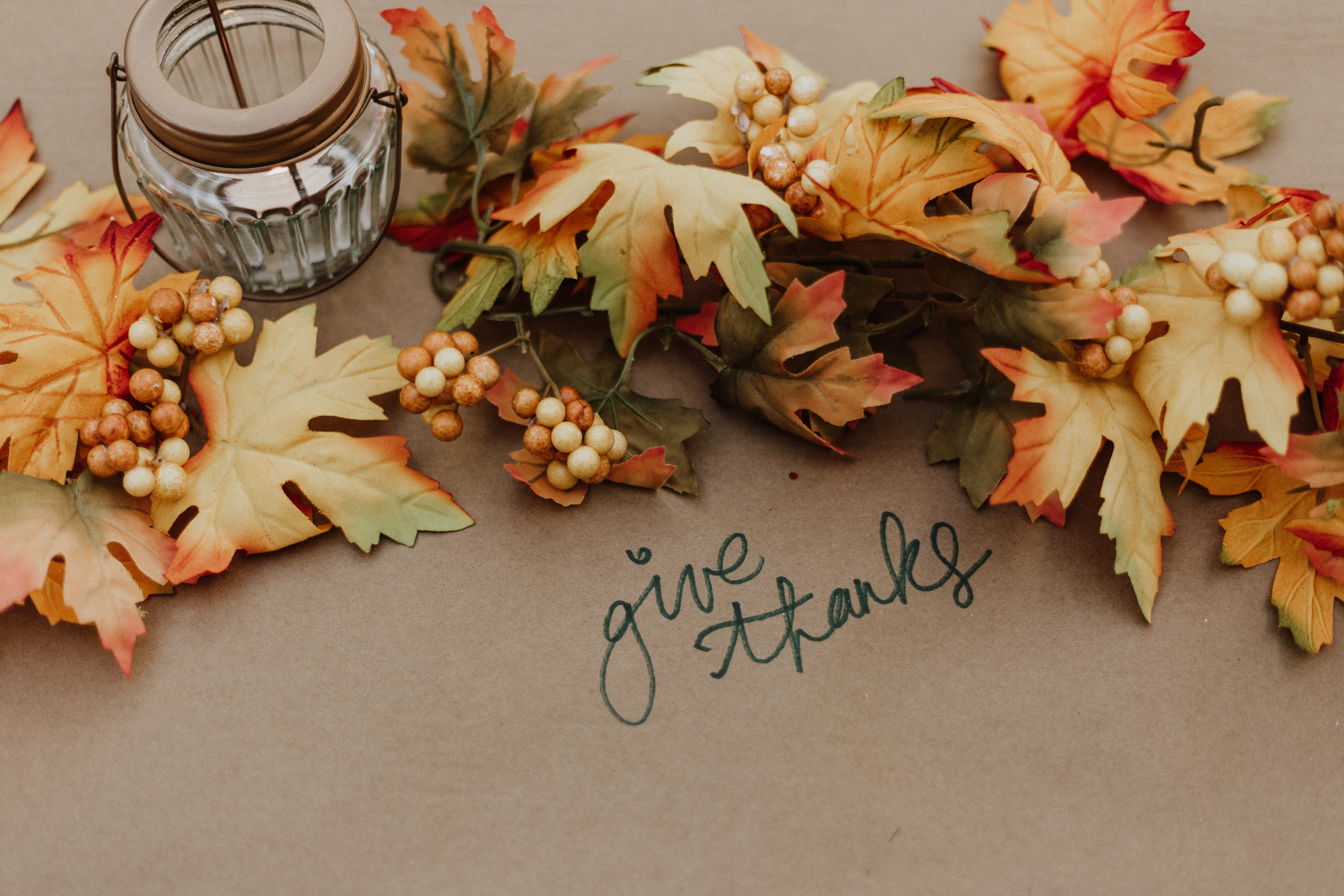 Read more about the article Ten True Things About Gratefulness: A Conversation with Kristi Nelson