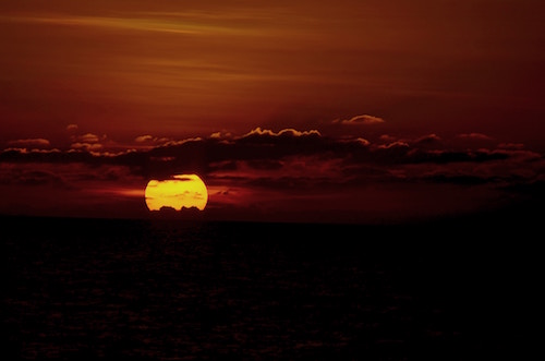 Read more about the article Waiting for the Sun