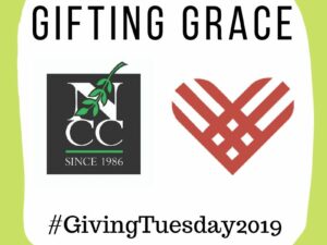 Giving Tuesday Results