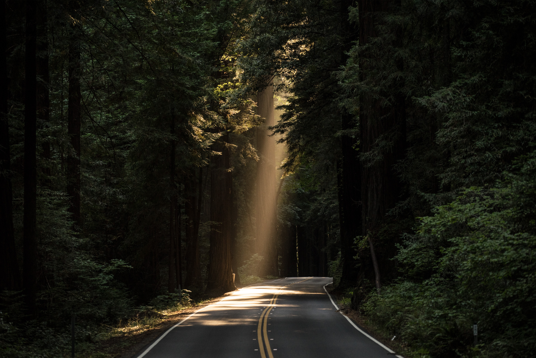 Read more about the article The Mental Health Benefits of Spirituality