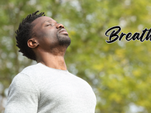 Body-Centered Tools to Support Your Well-Being